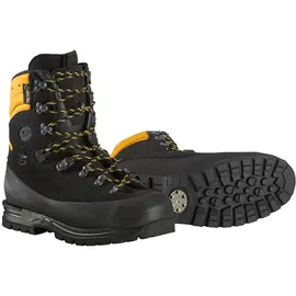 Haix Protector Alpin schwarz