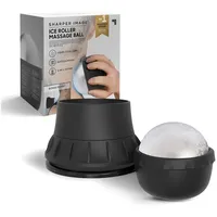 Sharper Image Kalte Ganzkörper Fitness-Massagekugel mit Griff- und Saughalterung SCHWARZ No Size