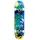 Enuff Skateboards Splat 7,75 Zoll Grün/Blau