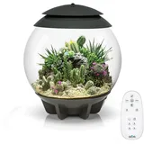 biOrb Air 30, grau - automatisches Terrarium zur bequemen Pflanzenpflege, geeignet für empfindliche und exotische Pflanzen