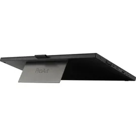 Asus ProArt PA169CDV 15,6" schwarz