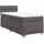 vidaXL Boxspringbett 80 x 200 cm Grau