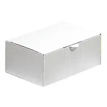 NESTLER Wellpapp-Faltkartons 1-wellig braun 23,5 x 23,5 x 16,7 cm Außenmaß, 20 St.