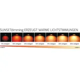 dotlux MULTIsun 8W rund