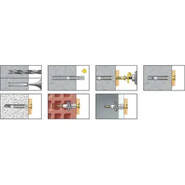Celo Apolo Mea Mehrzweckdübel Mzk 6-41 Rudo Runddose (200stück) 9641expmzk