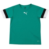 Puma Unisex Kinder Teamrise Jersey Jr Shirt, Pepper Green-puma Black-puma White, 128