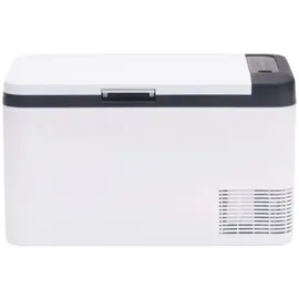 vidaXL Kühlbox mit Griff und Adapter Schwarz und Weiß 18 L PP & PE