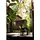 GLOBO LED-Lichterkette Kunststoff 750x6x14,6 cm Schwarz
