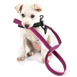 Julius-K9 IDC Color & Gray gumierte Leine, 20 mm x 1 m mit Schlaufe, Pink-Grau