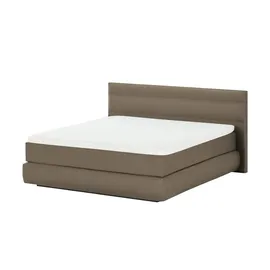 Wohnwert Dormian Bolge High 160 x 122 cm Beige