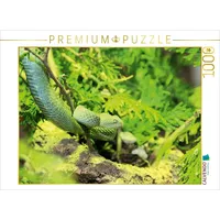 Calvendo Puzzle Gefährliche Schlangen - Die Grüne Buschviper 1000