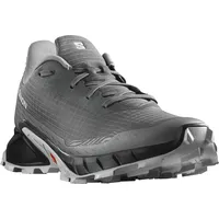 Salomon Herren Alphacross 5 grau 46.0