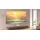 XGIMI 100" UST ALR Screen