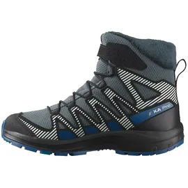 Salomon Xa Pro V8 Winter Wp Schuhe (Größe 36