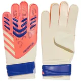 adidas Predator GL Training Signal Coral/White/Lucid Blue 10