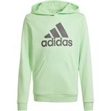 adidas Hoodie Jungen, grün