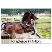 Calvendo Fahrpferde in Aktion (Tischkalender 2026 DIN A5 quer),
