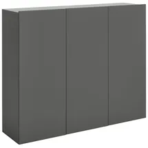 Hom ́in Hängeschuhschrank 120 x 100 x 34 cm anthrazit matt / anthrazit