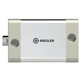 Riegler Kompaktzylinder, doppeltwirkend, IG, K-Ã ̃50, Hub25, G1/8, ISO21287