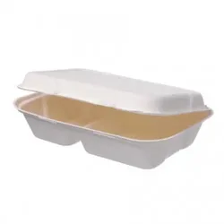 Blanc HYGIENIC Lunchboxen 2-geteilt aus Bagasse 250 Stück, to go, take away, biologisch abbaubar, umweltfreundlich