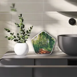 Olymp Sounds of Nature Box 4 Naturklänge Vogelgesang Bachgeflüster Bergwiesen Meeresrauschen