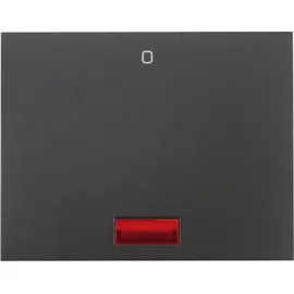 Berker Wippschalter mit roter Linse