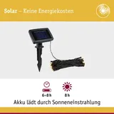 Paulmann Lichterkette Kunststoff, Metall 8 m 60 LEDs inkl. Dämmerungssensor schwarz