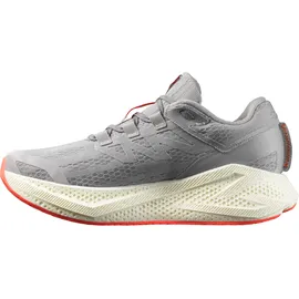 Salomon Aero Glide 3 Herren Grau / Silber 44