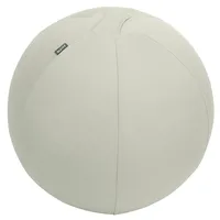 Leitz Ergo Active Sitzball mit Anti-Wegroll-Design, 55cm Grau