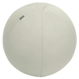 Leitz Ergo Active Sitzball mit Anti-Wegroll-Design, 55cm Grau