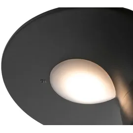 FARO LOTUS 3000K, IP65 dunkelgrau