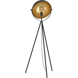 EGLO Darnius 98458 Schwarz/Gold