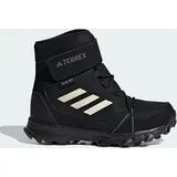 Adidas Terrex Snow Hook-And-Loop COLD.RDY Winter  Core Black / Chalk White / Grey Four 31