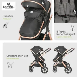 Lorelli Kinderwagen 2 in 1 Viola
