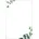 DP682 Hochwertiges Motivpaper Druckerpapier Eukalyptus Motiv beidseitig für Speisekarten aus nachhaltigem Papier