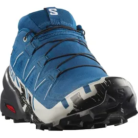 Salomon Speedcross 6 Gore-Tex Herren Poseidon/Black/Lunar Rock 44 2/3
