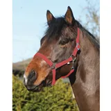 ELDORADO Pferde-Halfter Standard rot Pony