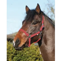 ELDORADO Pferde-Halfter Standard rot Pony