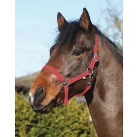 ELDORADO Pferde-Halfter Standard rot Pony