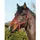 ELDORADO Pferde-Halfter Standard rot Pony