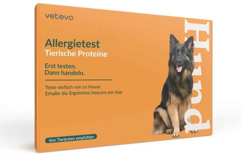 Allergietest - Tierische Proteine Hund 1 St