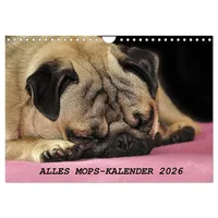 Calvendo Alles Mops-Kalender 2026 (Wandkalender 2026 DIN A4 quer),