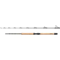 Penn Regiment IV Pro Boat Spinnrute & Vielseitig, Silber,