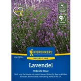 Kiepenkerl Lavendel Hidcote Blue Strain