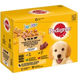 Pedigree Multipack Portionsbeutel Junior Gemischte Selektion in Gelee 12x100 g