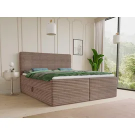 Sofnet Mollo 140 x 200 cm H3 Braun