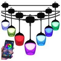 Lapalife LED-Lichterkette 10/20M, wasserdicht, RGB, Bluetooth App, Synchronisation mit Musik, für Hinterhof Balkon Weihnachten Party Cafe Deko, Timer 10 m