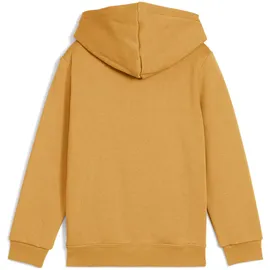 Puma Hoodie Archive Gold 116