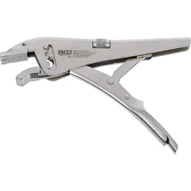 BGS Gripzange 493