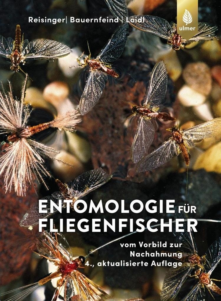 entomologie fr fliegenfischer